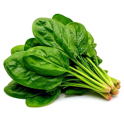 spinach (palak) for importers and b2b buyers | diyantha global fresh vegetables export-ready supply