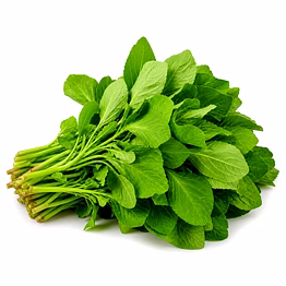 amaranthus leaves (thotakura) for importers and b2b buyers | diyantha global fresh vegetables export-ready supply