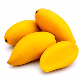 banganapalli mango for importers and b2b buyers | diyantha global fruits export-ready supply