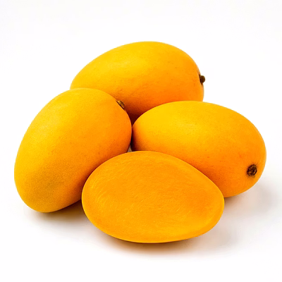 badami mango for importers and b2b buyers | diyantha global fruits export-ready supply