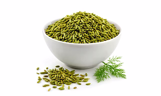 Bold Fennel Seeds For Importers And B2B Buyers | Diyantha Global Spices Export-Ready Supply