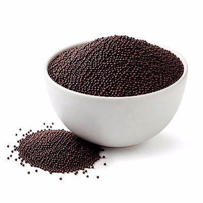 black mustard seeds for importers and b2b buyers | diyantha global spices export-ready supply
