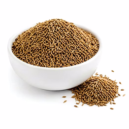 singapore 98 cumin seeds for importers and b2b buyers | diyantha global spices export-ready supply