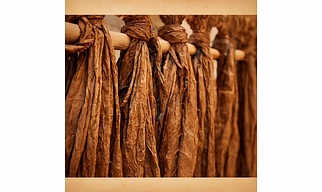 Tobacco – Sacred Indulgence