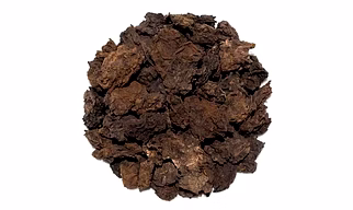 Cow Manure – Balm of Sanctity
