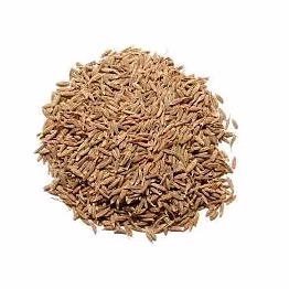 organic cumin seeds
