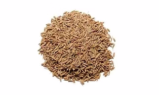 Organic cumin Seeds