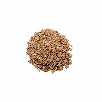 organic cumin seeds