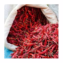 guntur red dry chilly