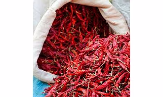 Guntur red dry chilly