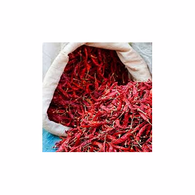 guntur red dry chilly