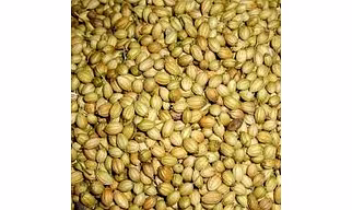 Green coriander seeds