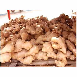 a grade ginger (karnataka origin)