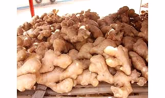 A grade ginger (Karnataka origin)