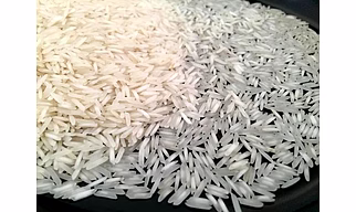 1121 Raw Basmati Rice