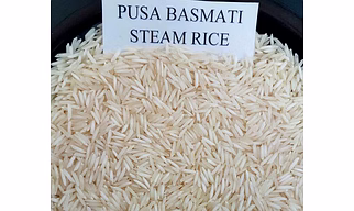 PUSA BASMATI RICE