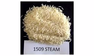 1509 Steam Basmati Rice
