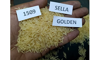 1509 Golden Sella Basmati Rice