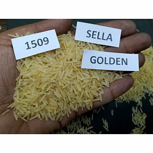 1509 Golden Sella Basmati Rice