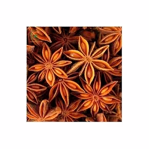 Star Anise (Seeds)