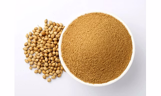Coriander Powder