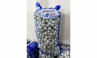 Fresh Garlic Wholesale – Bhagat Lion BOM Garlic - Best Garlic | Fresh garlic Mesh Bag wholesale Fresh loose garlic for B2B Importers, Wholesalers and Distributors – Bhagat Brothers