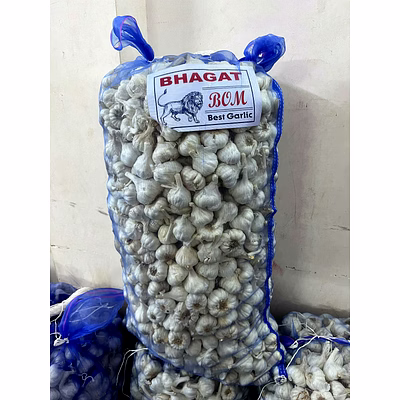 fresh garlic wholesale – bhagat lion bom garlic - best garlic | fresh garlic mesh bag wholesale fresh loose garlic for b2b importers, wholesalers and distributors – bhagat brothers