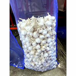 fresh garlic wholesale – bhagat maharaja garlic | fresh garlicmesh bag wholesale fresh loose garlic for b2b importers, wholesalers and distributors – bhagat brothers