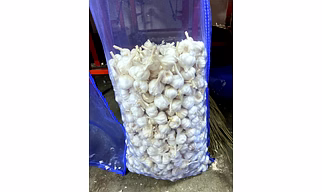 Fresh Garlic Wholesale – Bhagat Maharaja Garlic | Fresh garlicMesh Bag  wholesale Fresh loose garlic for B2B Importers, Wholesalers and Distributors – Bhagat Brothers