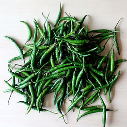 g4 green chilli | green chilli wholesale fresh green chilli for b2b importers, wholesalers and distributors – bhagat brothers