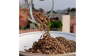 Cumin Seeds