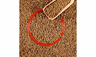 Carom Seeds (Ajwain)
