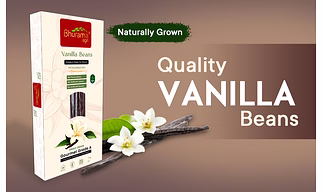 Grade A Vanilla Pods