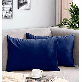 buddy`s pillow