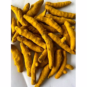 Double Polished Salem Turmeric Fingers