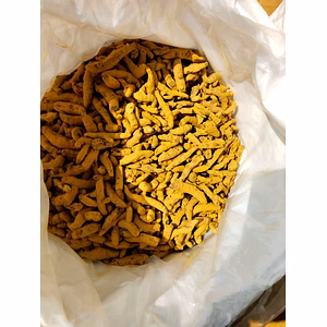 Organic Dry Turmeric Finger - Salem double polished