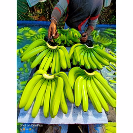 banana