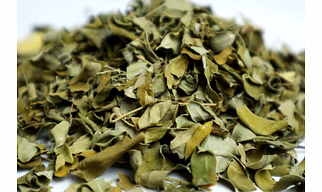 Organic Moringa Dried Leafs