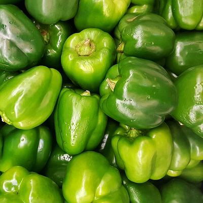 capsicum (shimla mirch)