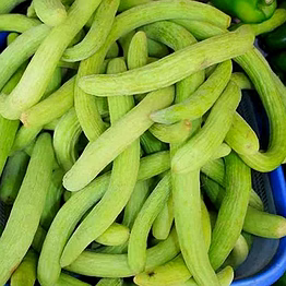 kakdi (long cucumber)