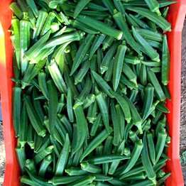 ladyfinger (bhindi)