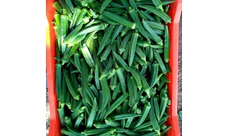 Ladyfinger (Bhindi)