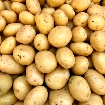potato