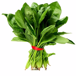 spinach (palak)