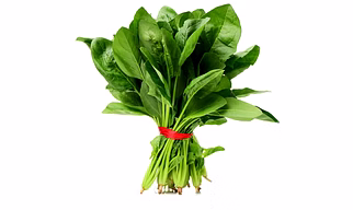 Spinach (Palak)