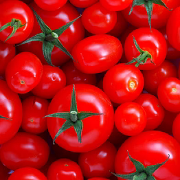 tomato