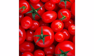 Tomato
