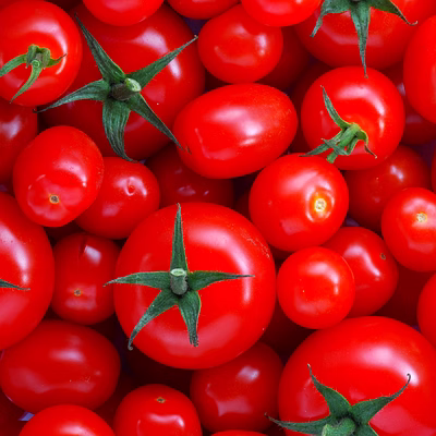tomato