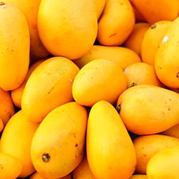 mango