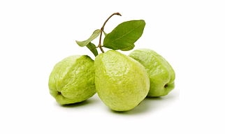 Guava